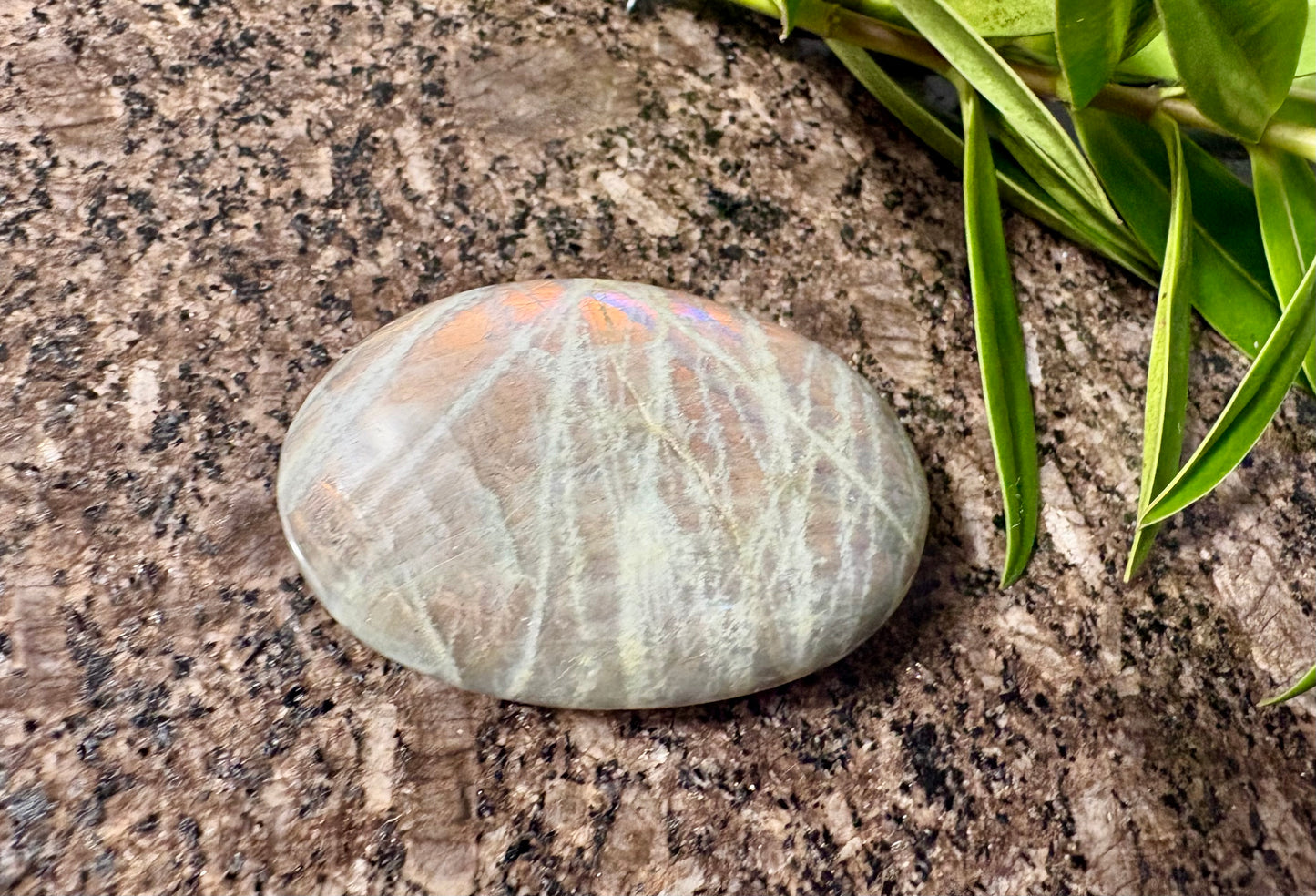Purple Labradorite Palmstone