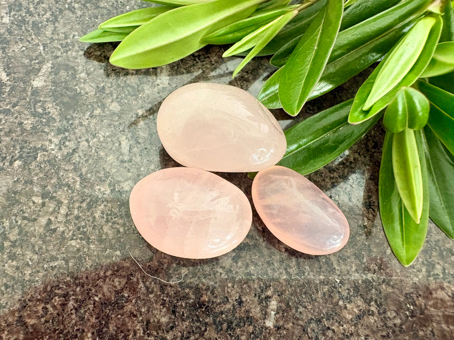 Natural Rose Quartz Tumble Stones