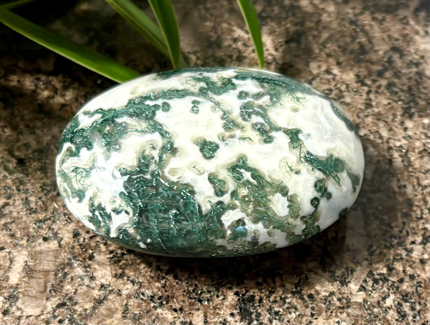 Moss Agate Palmstone