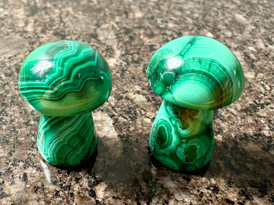 Malachite Mushroom