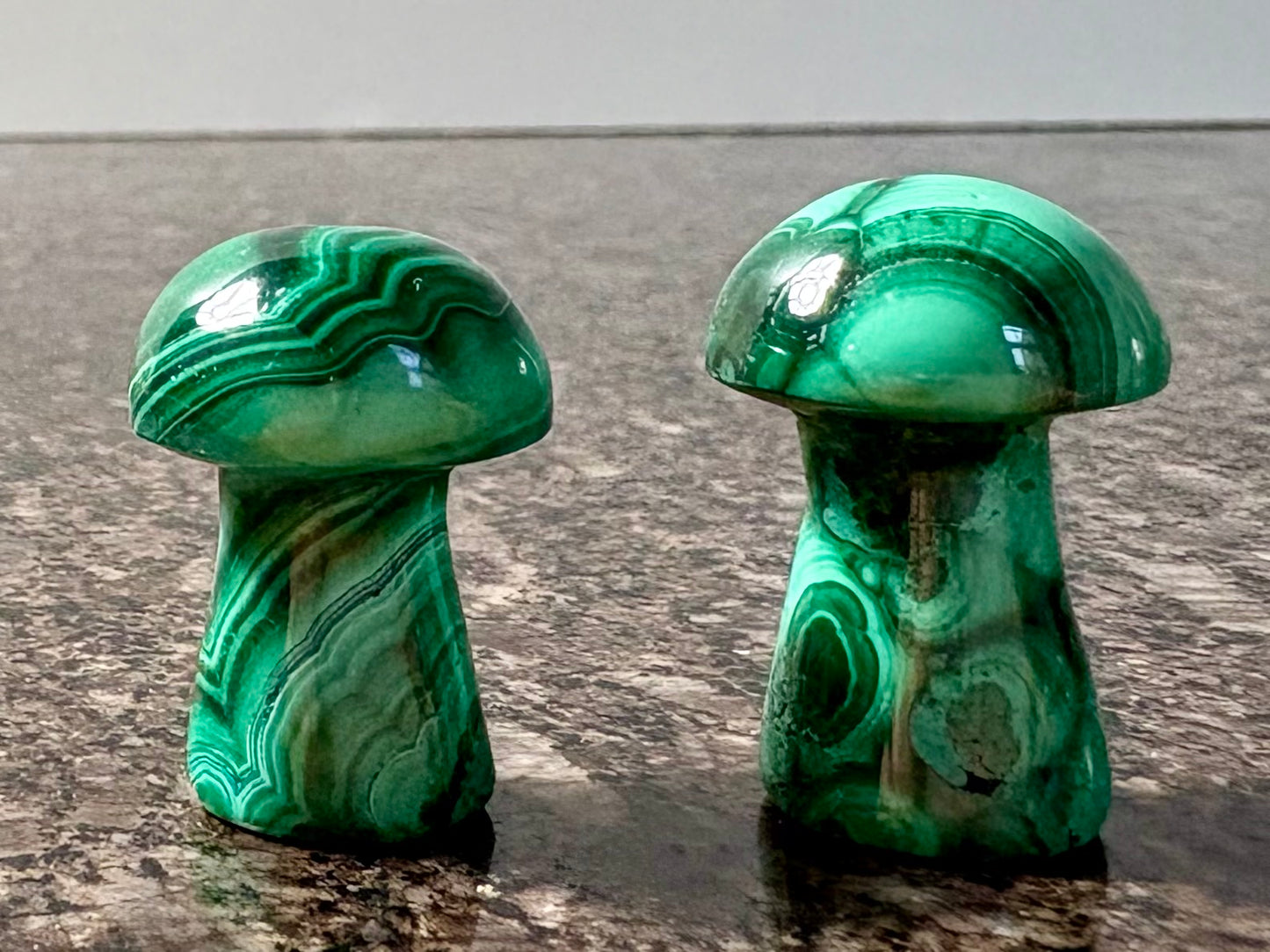 Malachite Mushroom