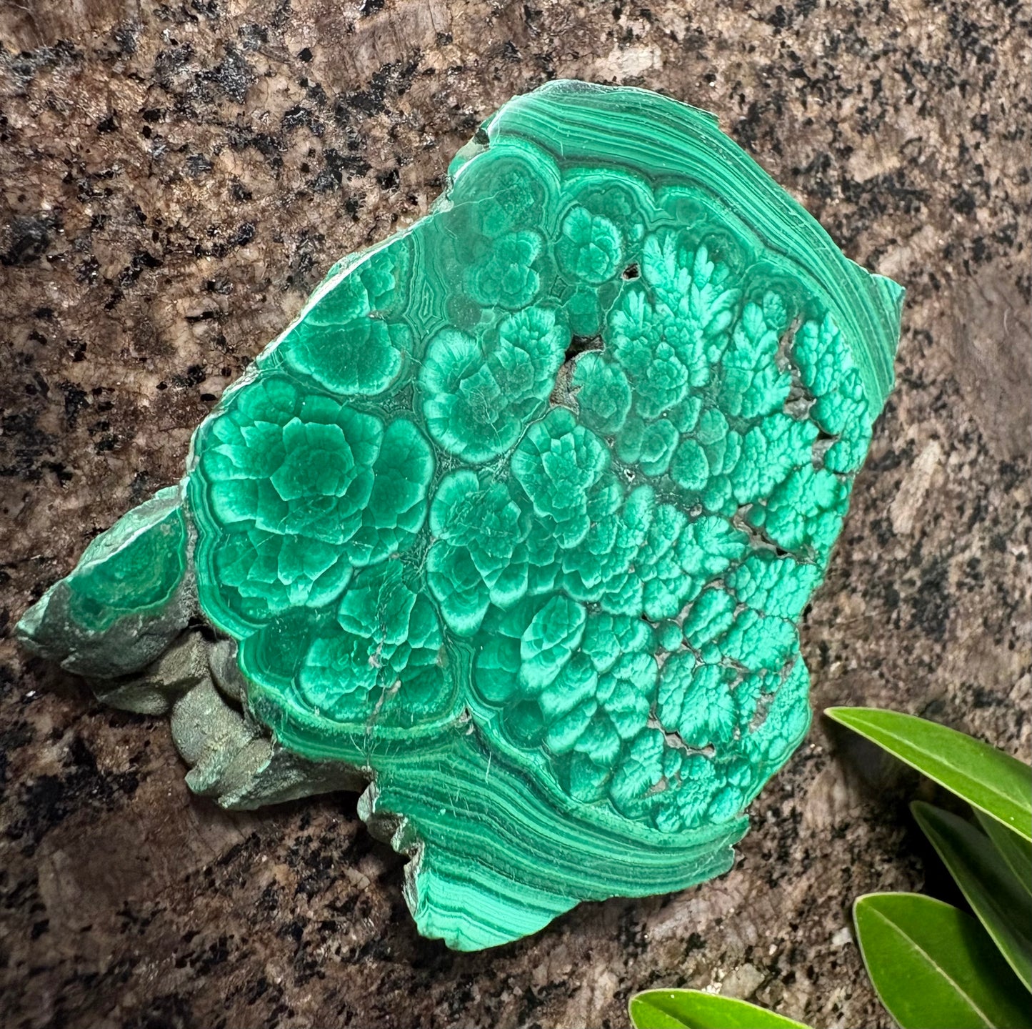 Malachite Slice