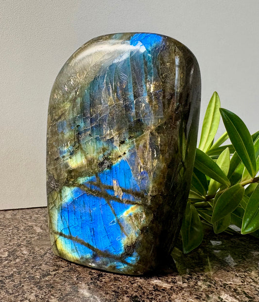 Remarkable Super Flashy Labradorite Freeform