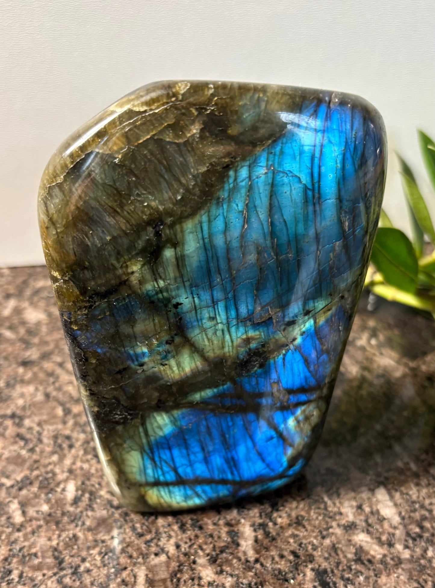 Remarkable Super Flashy Labradorite Freeform