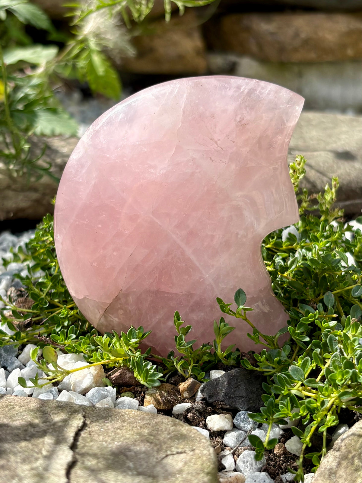 Rose Quartz Crescent Moon Face Carving – Approx. 9 cm