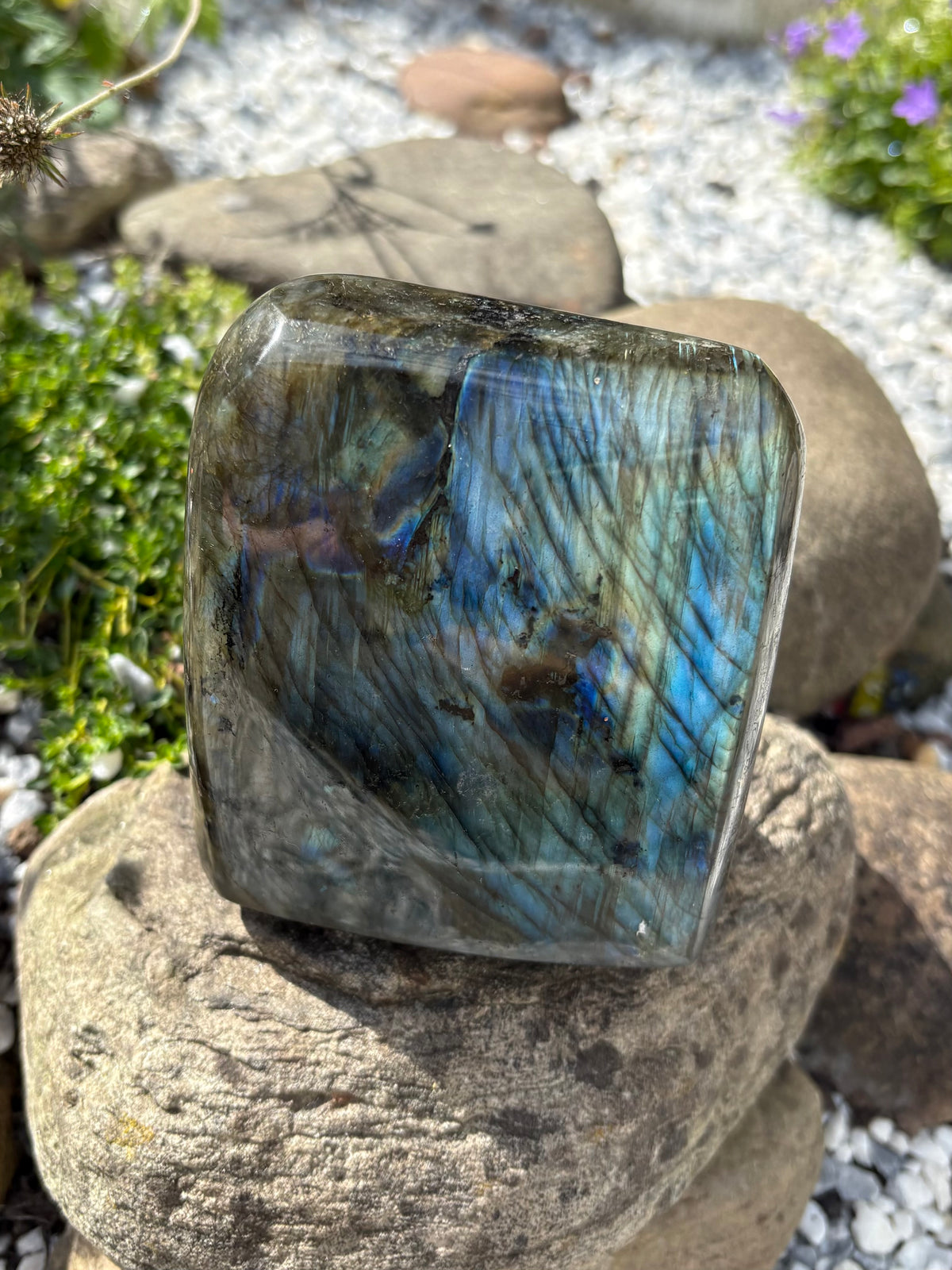 Labradorite Freeform with Blue Flash – 8 cm, 942 g