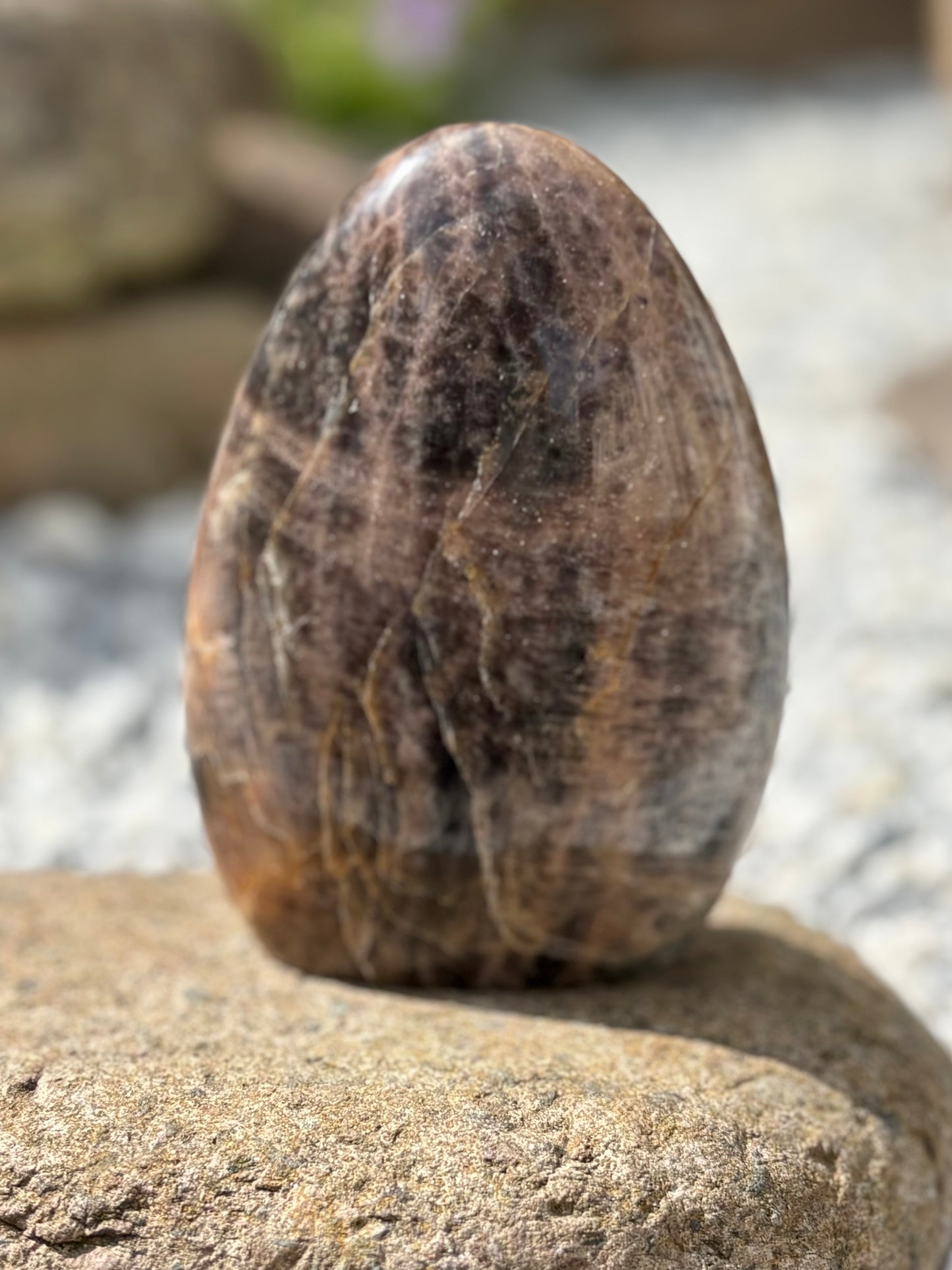 Black Moonstone Freeform – 9.5 cm, 388 g