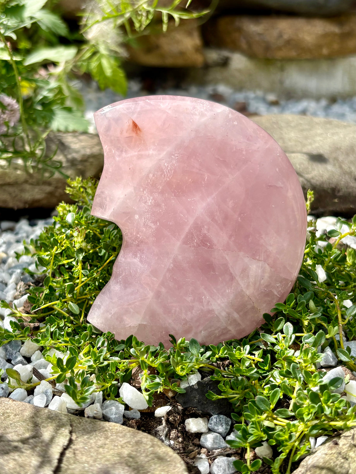 Rose Quartz Crescent Moon Face Carving – Approx. 9 cm