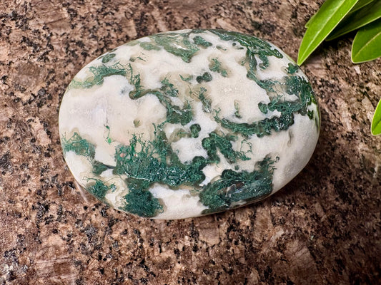 Moss Agate Palmstone