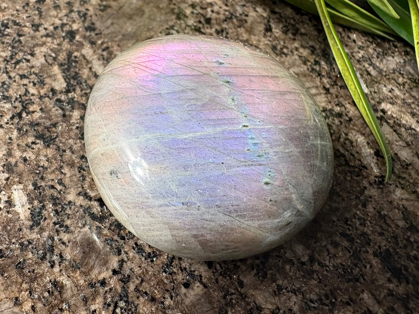Purple Labradorite Palmstone