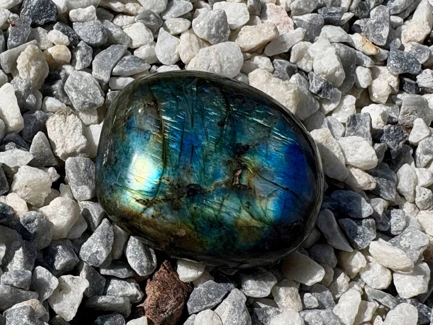 Labradorite Palm Stone with Blue-Green Flash