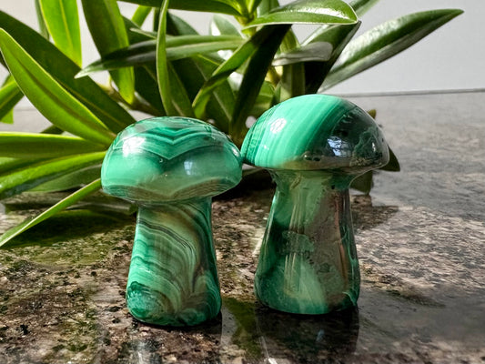 Malachite Mushroom