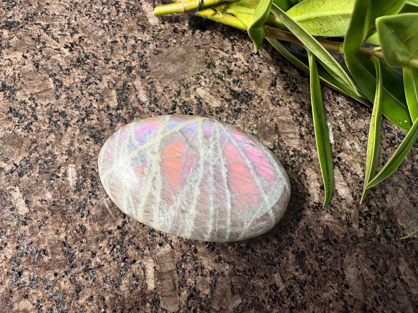 Purple Labradorite Palmstone