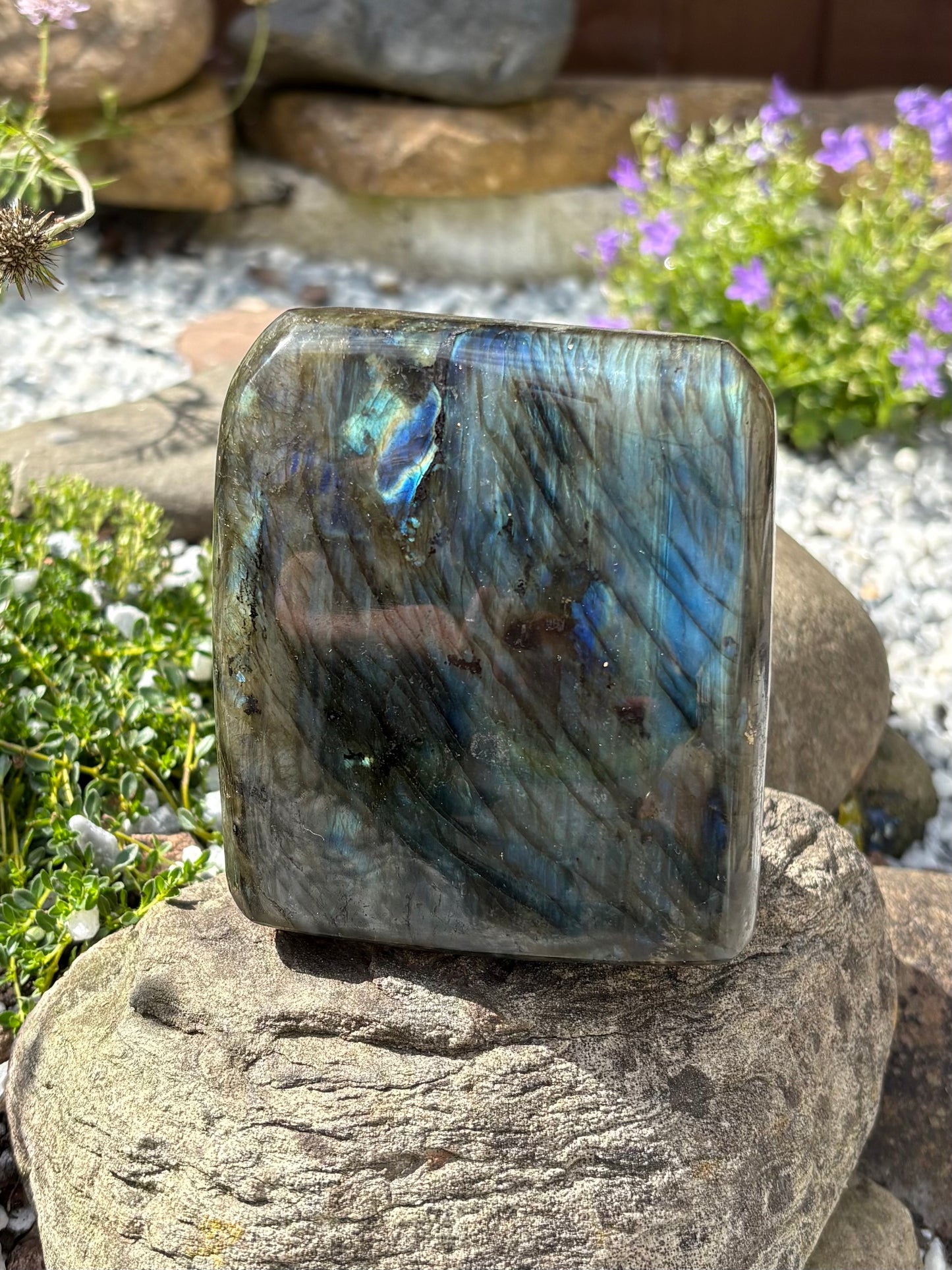 Labradorite Freeform with Blue Flash – 8 cm, 942 g