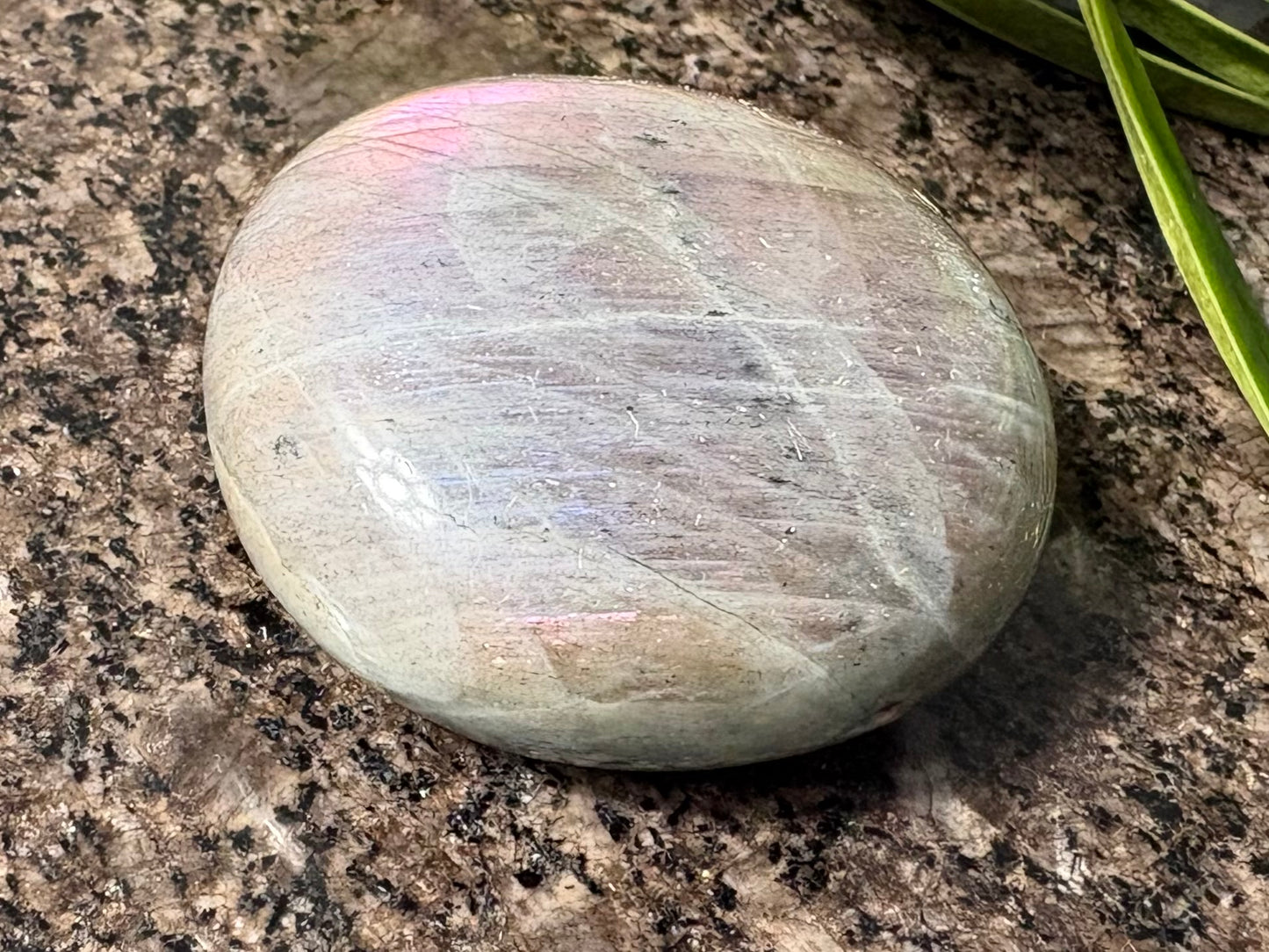 Purple Labradorite Palmstone