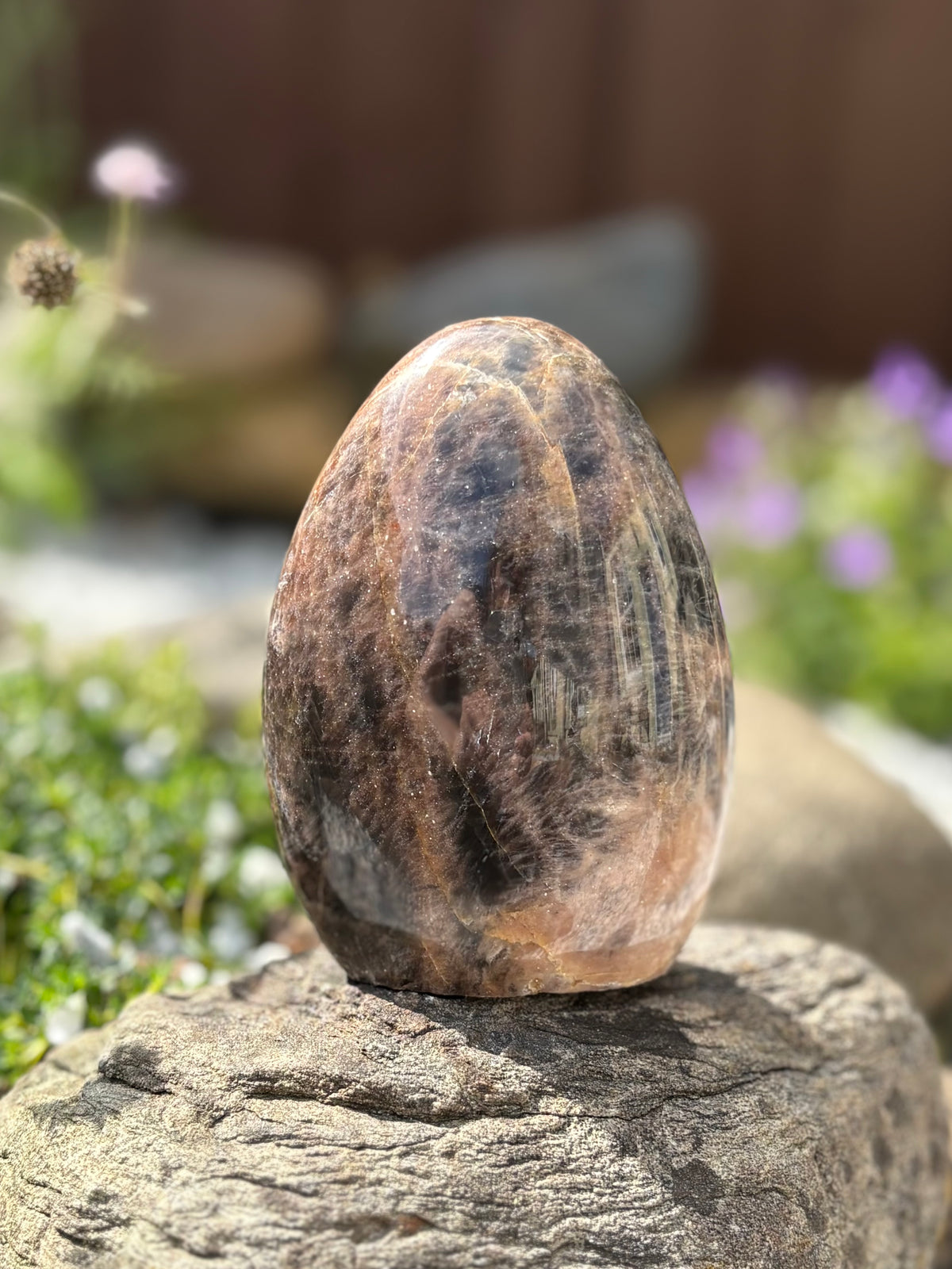 Black Moonstone Freeform – 9.5 cm, 388 g