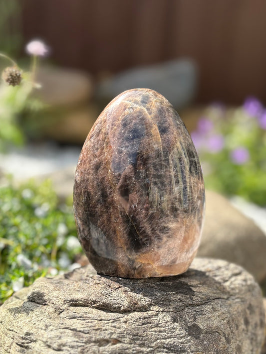 Black Moonstone Freeform – 9.5 cm, 388 g