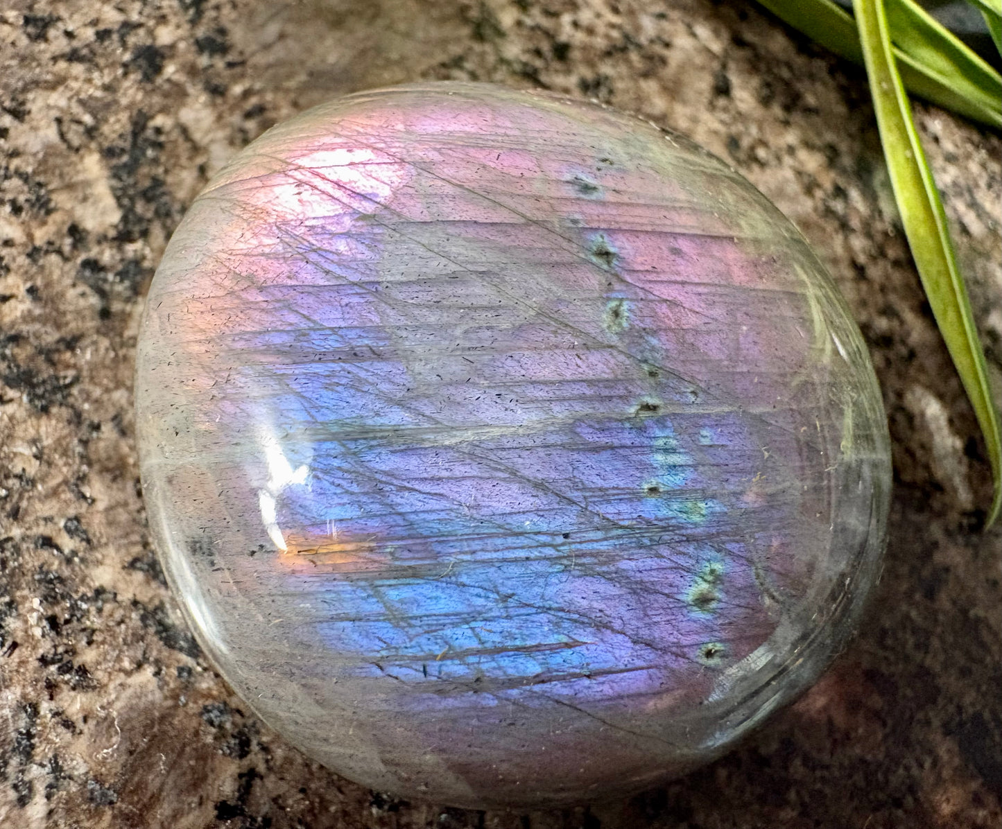 Purple Labradorite Palmstone