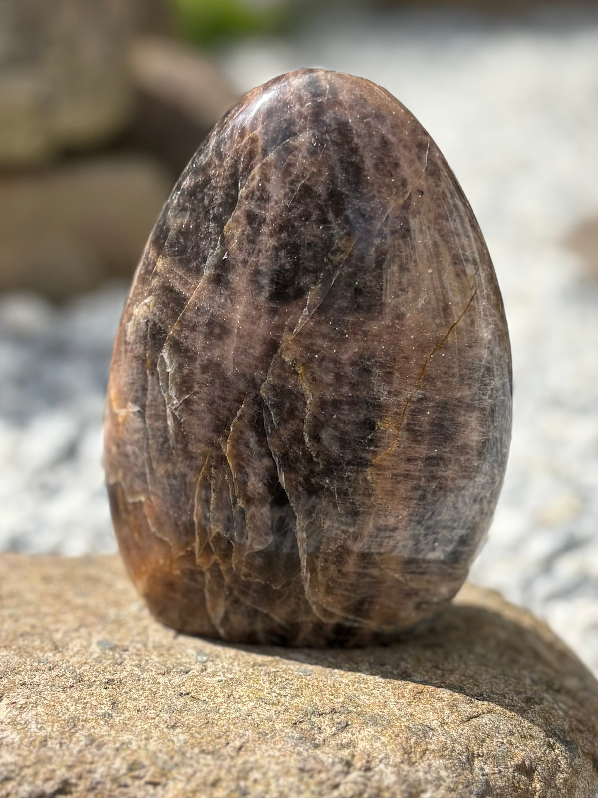 Black Moonstone Freeform – 9.5 cm, 388 g
