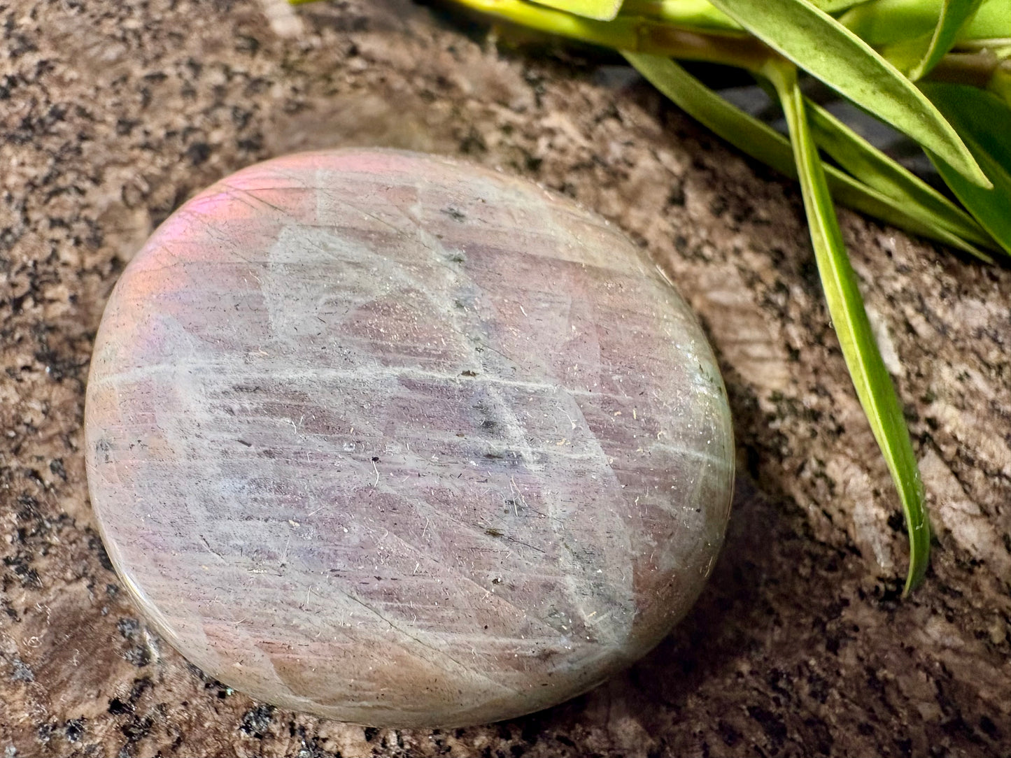 Purple Labradorite Palmstone