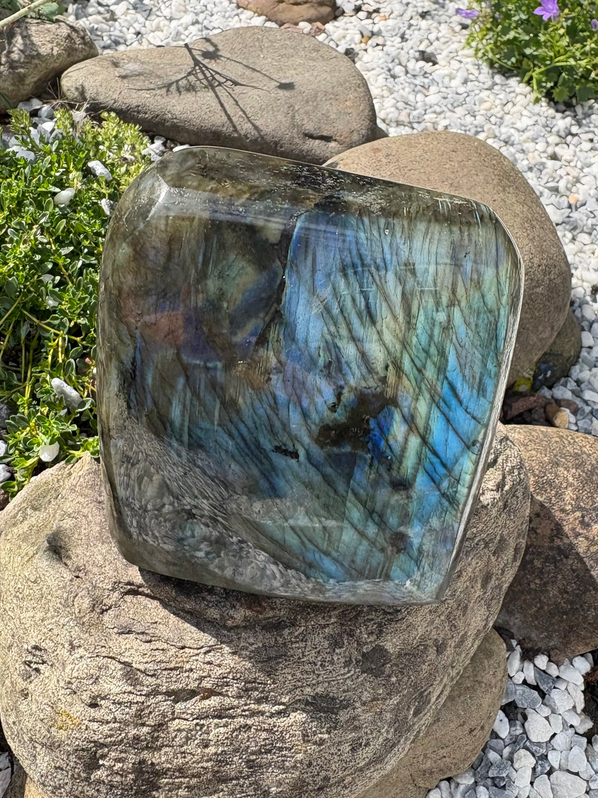 Labradorite Freeform with Blue Flash – 8 cm, 942 g