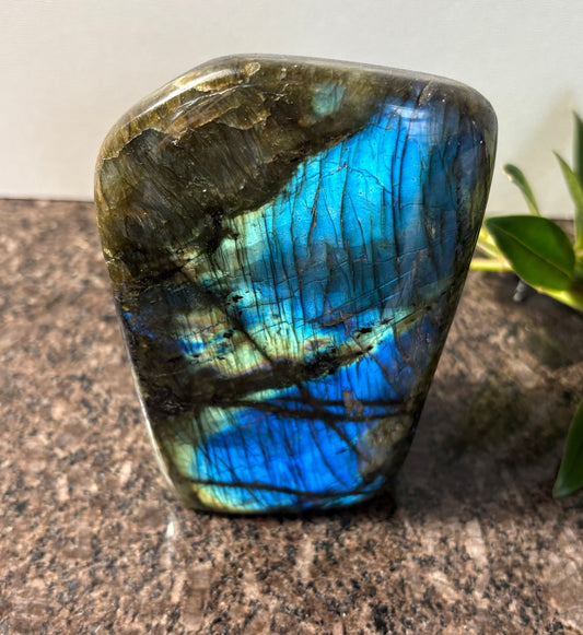 Remarkable Super Flashy Labradorite Freeform